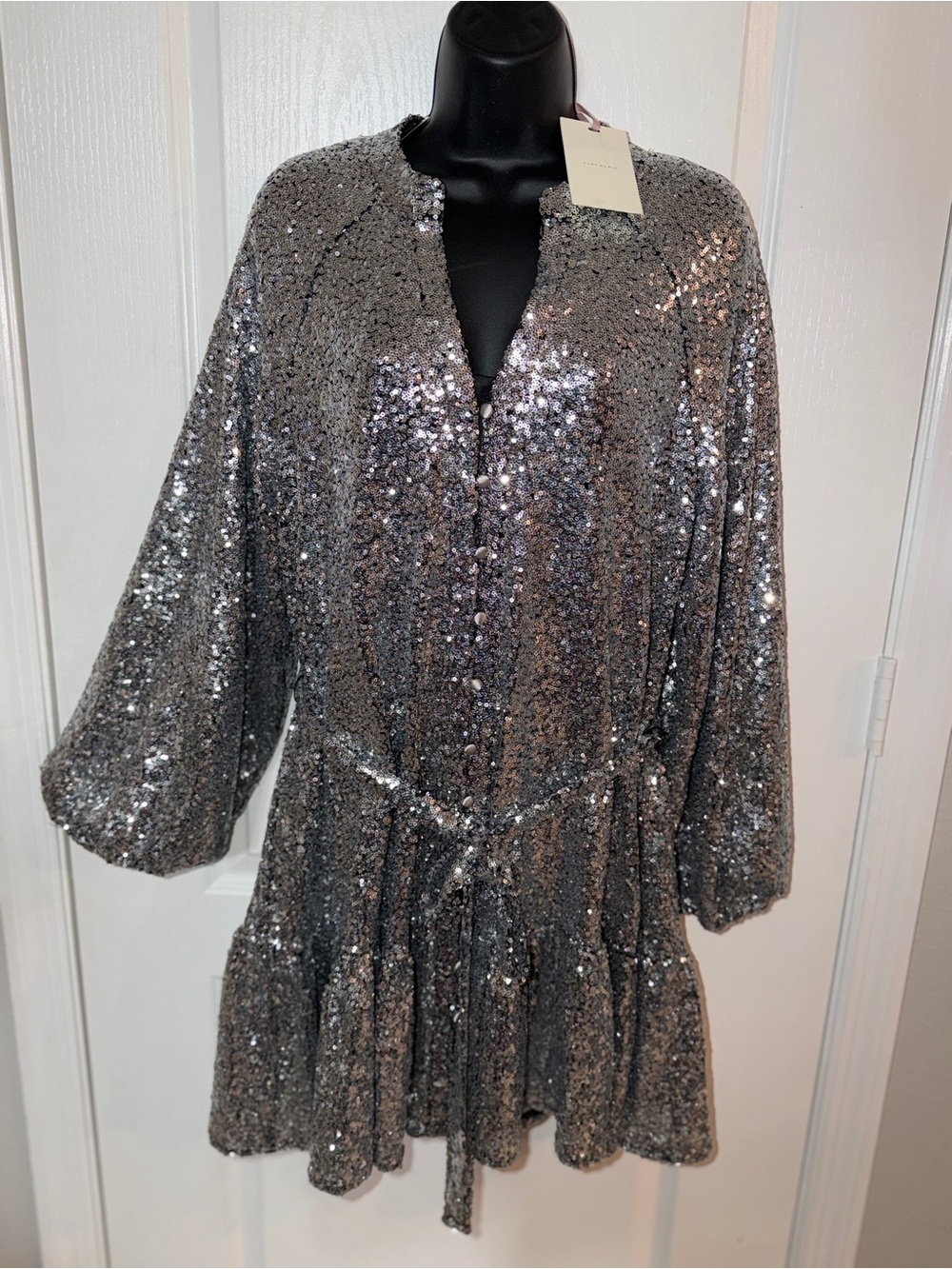 Alex Marie Silver Sequin Mini Dress with Dusty Rose Tag